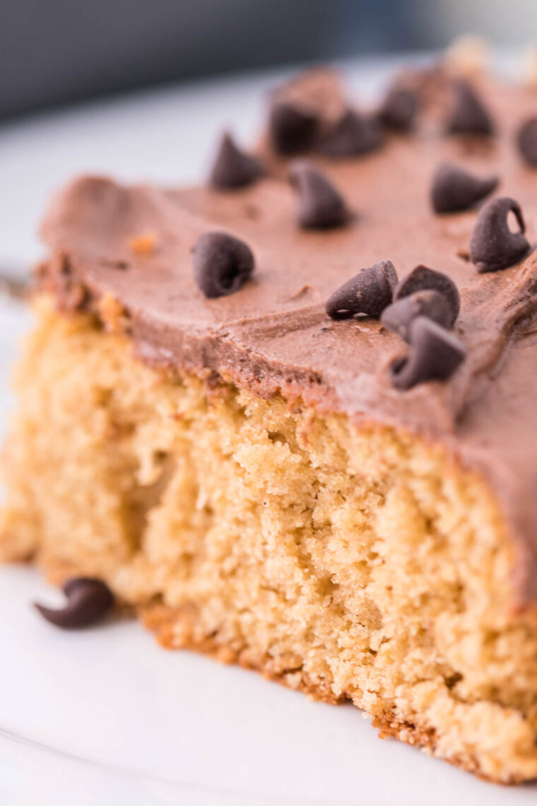 Peanut Butter Sheet Cake Cheapfoodideas